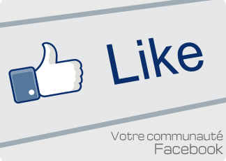 Like réseau social Facebook