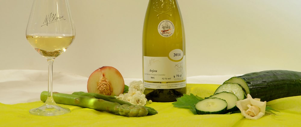 Tableau oenologique bouteille Anjou blanc