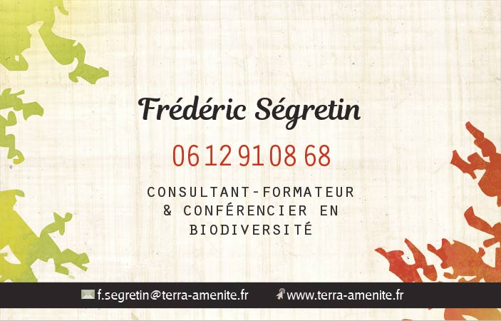 Exemple de carte de visite recto