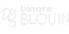 Logo Domaine Blouin