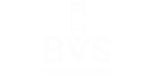 Logo BVS