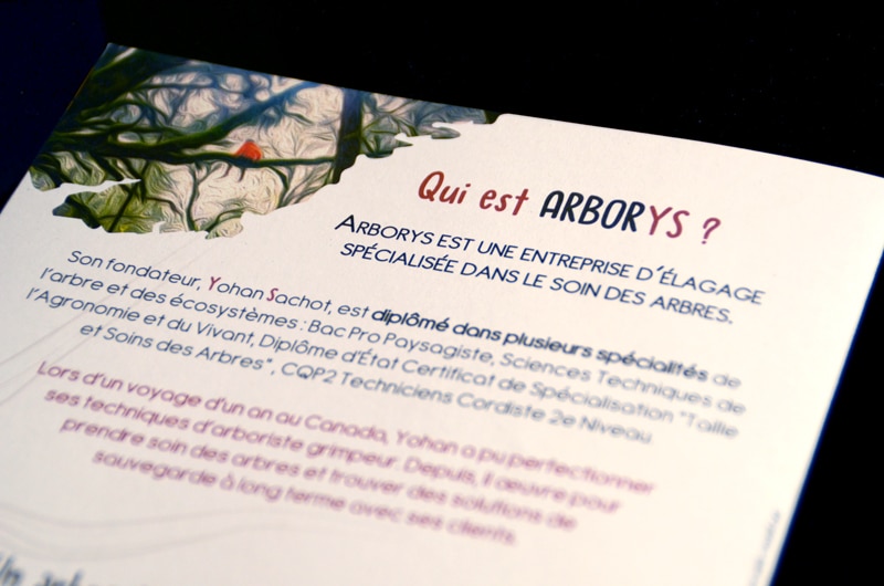 Brochure arboriste, utilisation du haut de casse