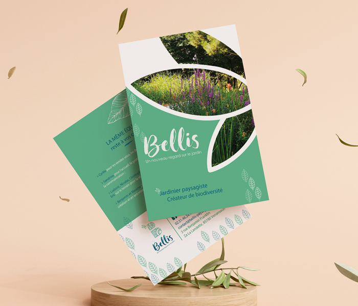 Flyer Bellis