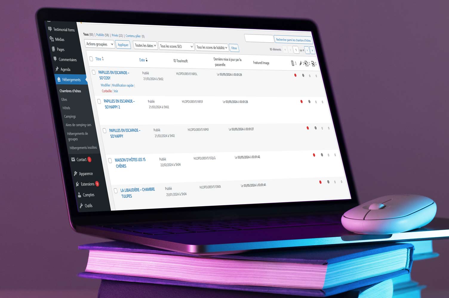 Maquette Tourinsoft en exemple